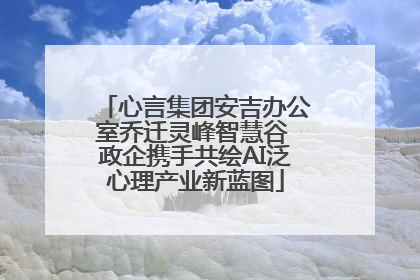 心言集团安吉办公室乔迁灵峰智慧谷 政企携手共绘AI泛心理产业新蓝图