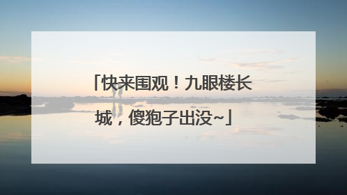 快来围观！九眼楼长城，傻狍子出没~