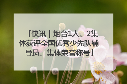 快讯｜烟台1人、2集体获评全国优秀少先队辅导员、集体荣誉称号