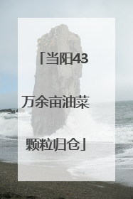 当阳43万余亩油菜颗粒归仓