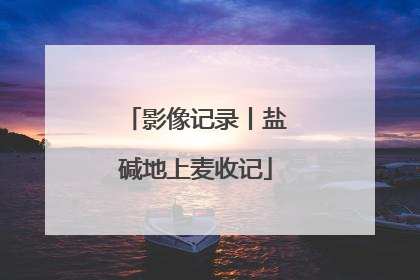 影像记录丨盐碱地上麦收记