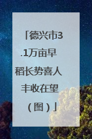 德兴市3.1万亩早稻长势喜人 丰收在望（图）