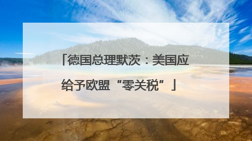 德国总理默茨：美国应给予欧盟“零关税”