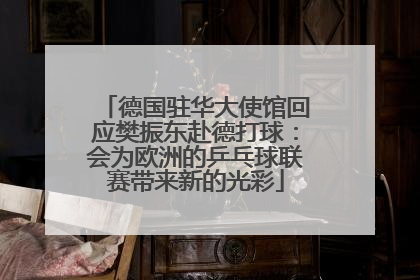 德国驻华大使馆回应樊振东赴德打球：会为欧洲的乒乓球联赛带来新的光彩