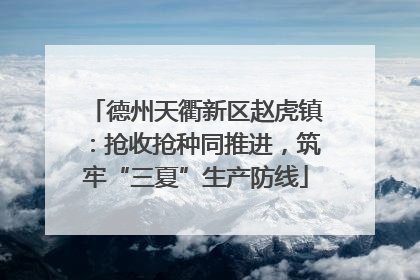 德州天衢新区赵虎镇：抢收抢种同推进，筑牢“三夏”生产防线
