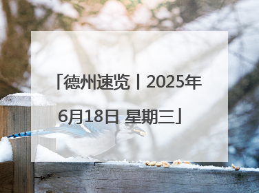 德州速览丨2025年6月18日 星期三