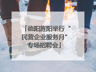 德阳旌阳举行“民营企业服务月”专场招聘会