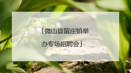 微山县留庄镇举办专场招聘会