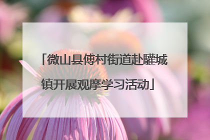微山县傅村街道赴驩城镇开展观摩学习活动