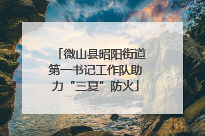微山县昭阳街道第一书记工作队助力“三夏”防火