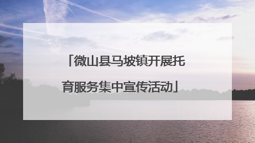 微山县马坡镇开展托育服务集中宣传活动
