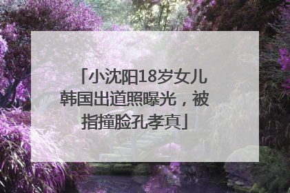 小沈阳18岁女儿韩国出道照曝光，被指撞脸孔孝真