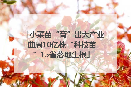 小菜苗“育”出大产业 曲周10亿株“科技苗”15省落地生根