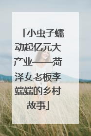 小虫子蠕动起亿元大产业——菏泽女老板李端端的乡村故事