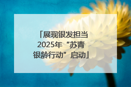 展现银发担当 2025年“苏青银龄行动”启动
