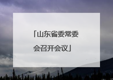 山东省委常委会召开会议