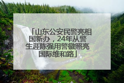 山东公安民警亮相国新办，24年从警生涯陈强用警徽照亮国际维和路