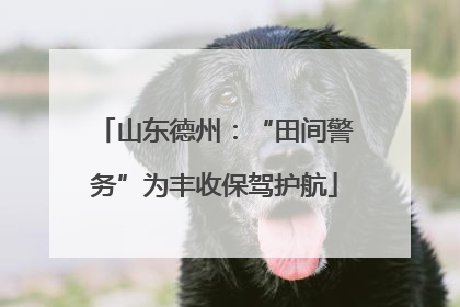 山东德州：“田间警务”为丰收保驾护航