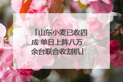 山东小麦已收四成 单日上阵八万余台联合收割机