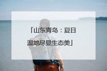 山东青岛：夏日湿地尽显生态美