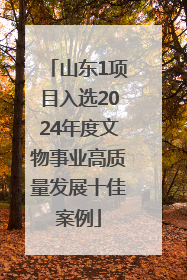 山东1项目入选2024年度文物事业高质量发展十佳案例