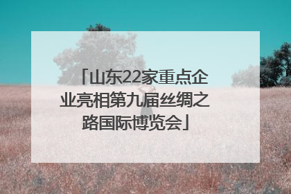 山东22家重点企业亮相第九届丝绸之路国际博览会