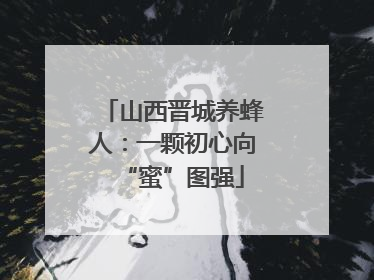 山西晋城养蜂人：一颗初心向“蜜”图强