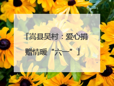 嵩县吴村：爱心捐赠情暖“六一”