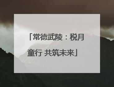 常德武陵：税月童行 共筑未来