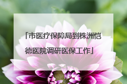 市医疗保障局到株洲恺德医院调研医保工作