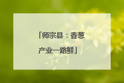 师宗县：香葱产业一路鲜