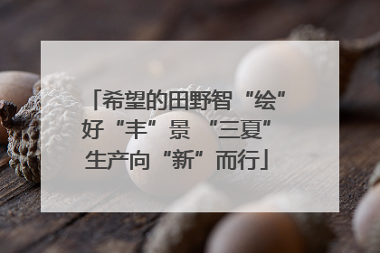 希望的田野智“绘”好“丰”景 “三夏”生产向“新”而行