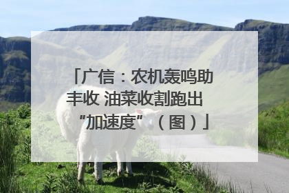 广信：农机轰鸣助丰收 油菜收割跑出“加速度”（图）