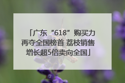 广东“618”购买力再夺全国榜首 荔枝销售增长超5倍卖向全国