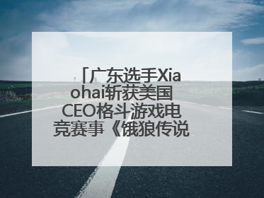 广东选手Xiaohai斩获美国CEO格斗游戏电竞赛事《饿狼传说》项目冠军