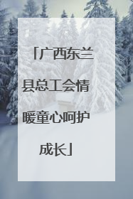 广西东兰县总工会情暖童心呵护成长