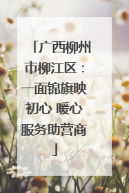 广西柳州市柳江区：一面锦旗映初心 暖心服务助营商