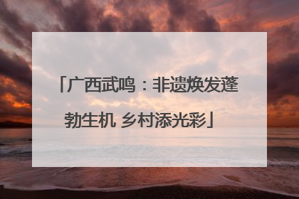 广西武鸣：非遗焕发蓬勃生机 乡村添光彩