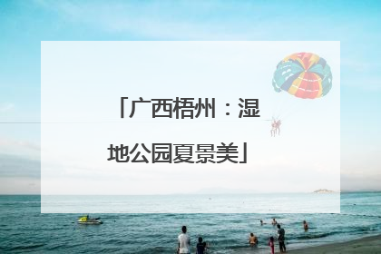 广西梧州：湿地公园夏景美