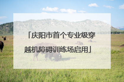庆阳市首个专业级穿越机障碍训练场启用