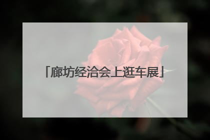 廊坊经洽会上逛车展