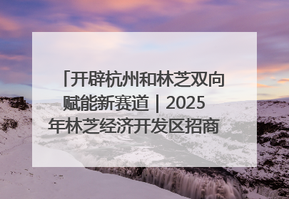 开辟杭州和林芝双向赋能新赛道｜2025年林芝经济开发区招商引资（杭州）推介展销活动在杭举办