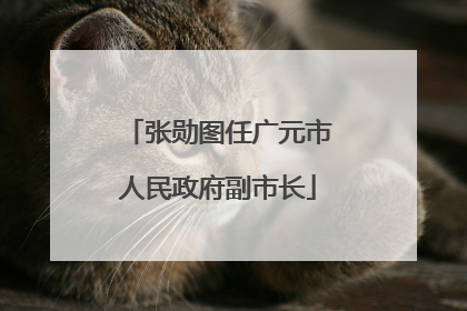张勋图任广元市人民政府副市长