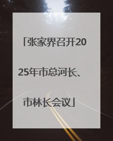 张家界召开2025年市总河长、市林长会议