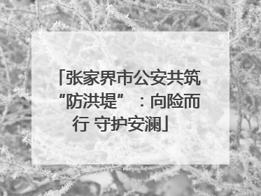 张家界市公安共筑“防洪堤”：向险而行 守护安澜