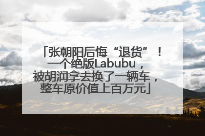 张朝阳后悔“退货”！一个绝版Labubu，被胡润拿去换了一辆车，整车原价值上百万元