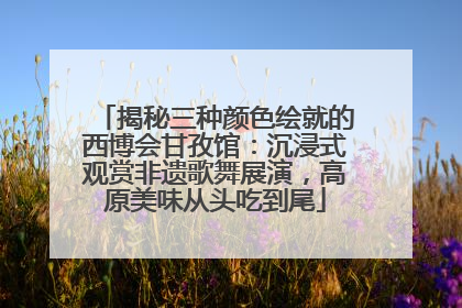 揭秘三种颜色绘就的西博会甘孜馆：沉浸式观赏非遗歌舞展演，高原美味从头吃到尾