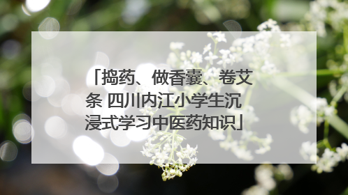 捣药、做香囊、卷艾条 四川内江小学生沉浸式学习中医药知识