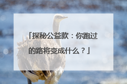 探秘公益款：你跑过的路将变成什么？