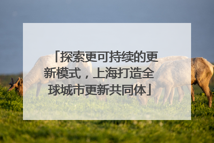 探索更可持续的更新模式，上海打造全球城市更新共同体